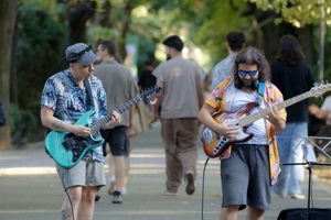 Men playing guitars in the park